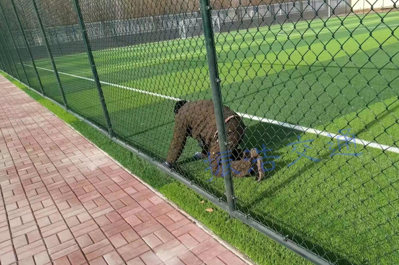 Stadionin aita
